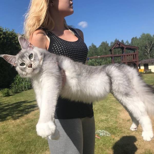 daily picdump 95 pics 21.html - 95 HD Photos | Premium Gallery 2019