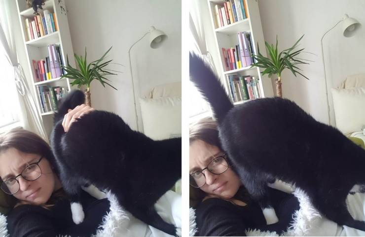 daily picdump 95 pics 21.html - 95 HD Photos | Premium Gallery 2019