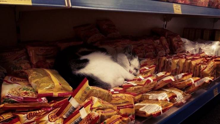 daily picdump 95 pics 21.html - 95 HD Photos | Premium Gallery 2019