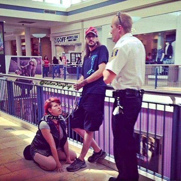 daily picdump 95 pics 21.html - 95 HD Photos | Premium Gallery 2019