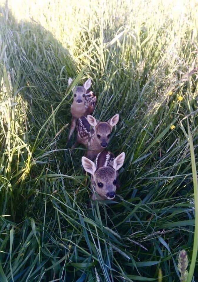 Daily Picdump