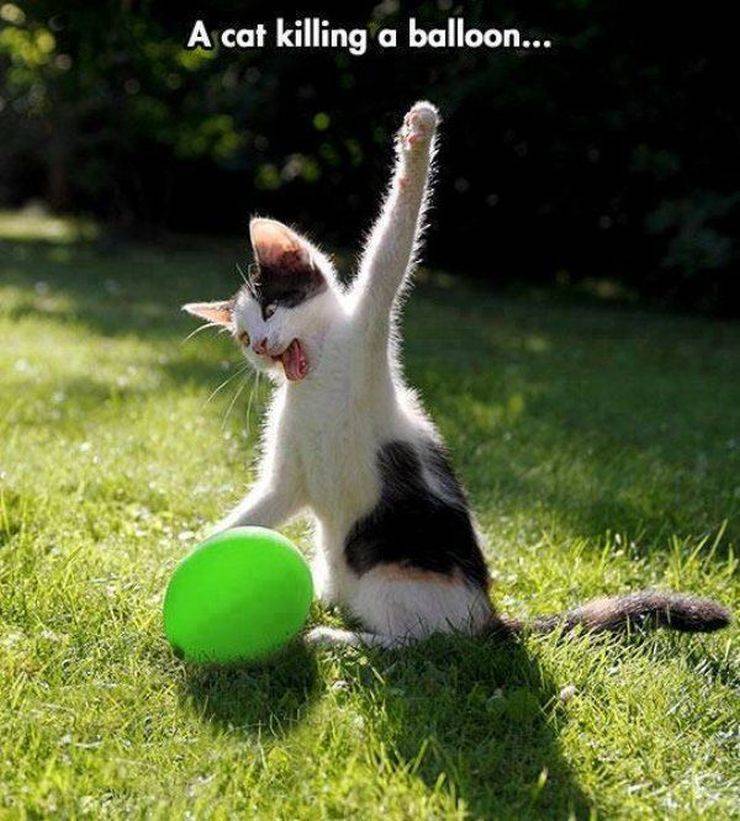 daily picdump 95 pics 21.html - 95 HD Photos | Premium Gallery 2019