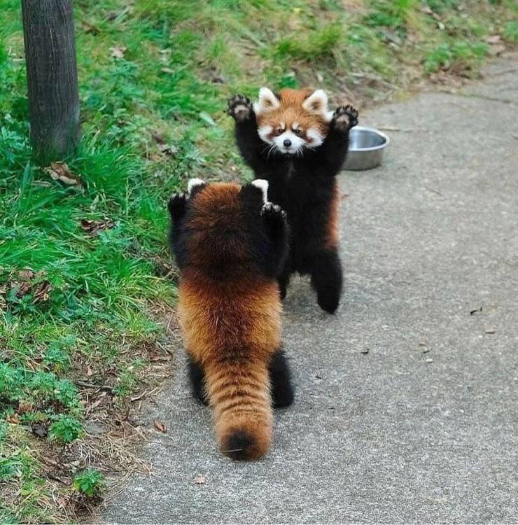 daily picdump 95 pics 21.html - 95 HD Photos | Premium Gallery 2019