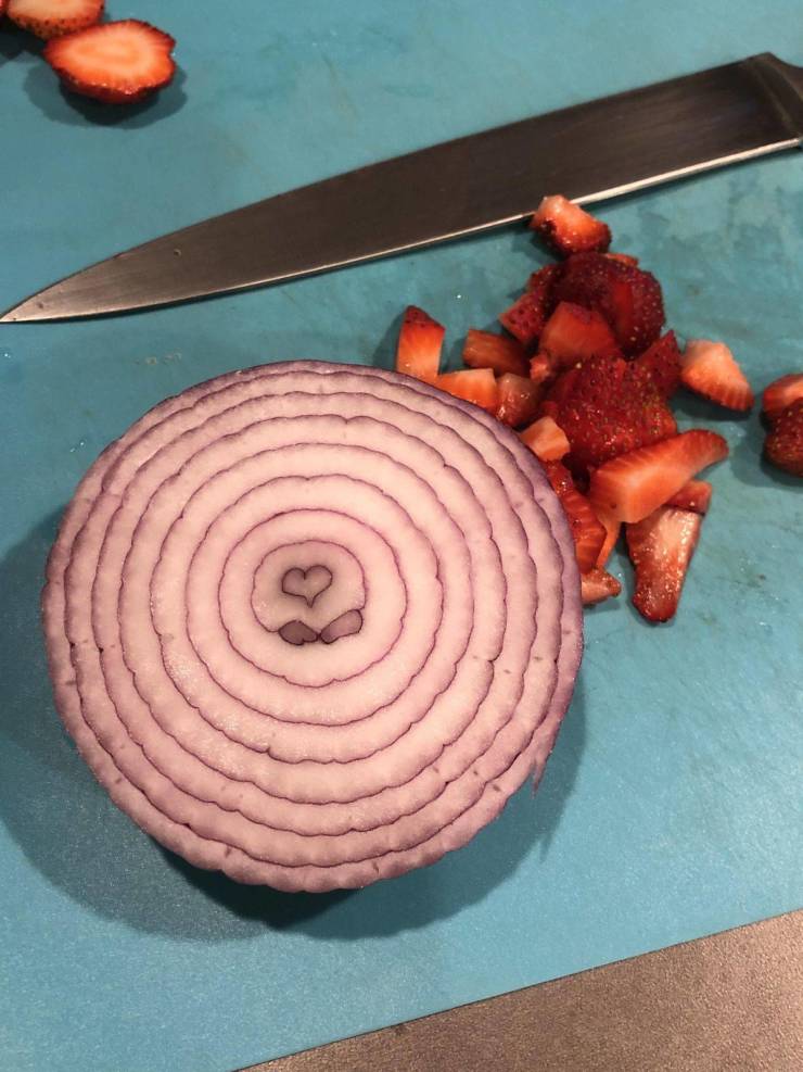 daily picdump 95 pics 21.html - 95 HD Photos | Premium Gallery 2019