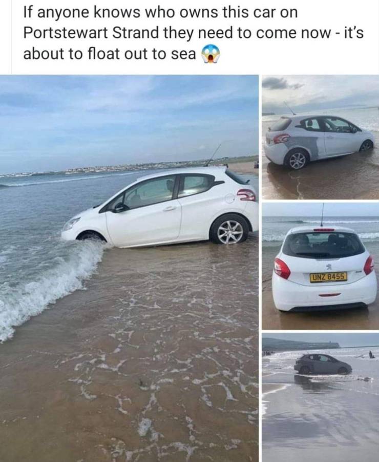 daily picdump 95 pics 21.html - 95 HD Photos | Premium Gallery 2019