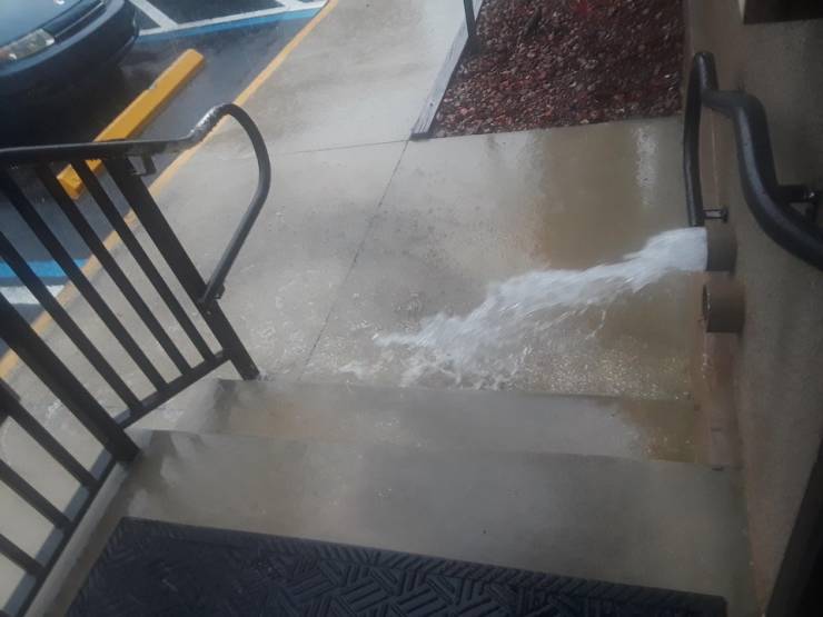 morning picdump 51 pics 2.html - 51 HD Photos | Premium Gallery 2019