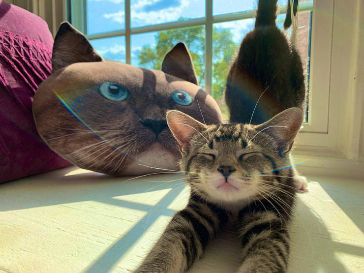 morning picdump 51 pics 2.html - 51 HD Photos | Premium Gallery 2019