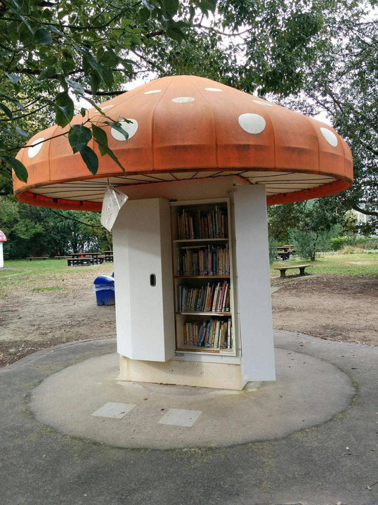morning picdump 51 pics 2.html - 51 HD Photos | Premium Gallery 2019