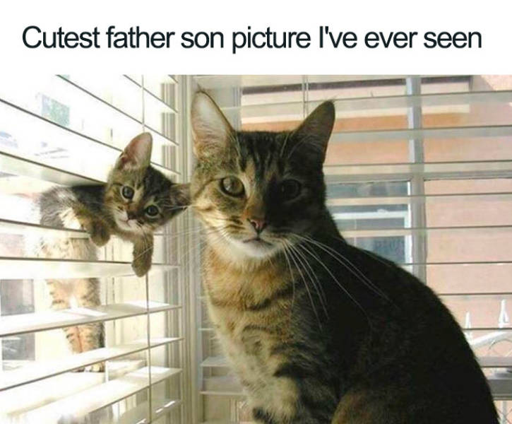 page,4,top 100 animals pics of the year 2019.html - 1 HD Photos | Premium Gallery 2019