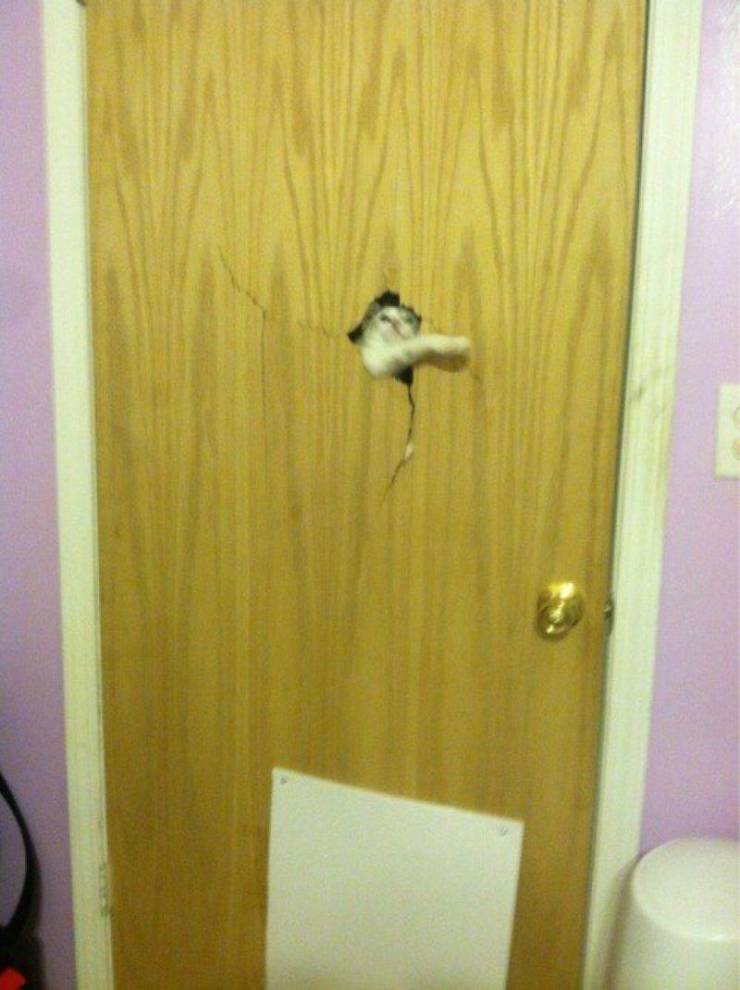 daily picdump weekend edition 74 pics 32.html - 74 HD Photos | Premium Gallery 2019