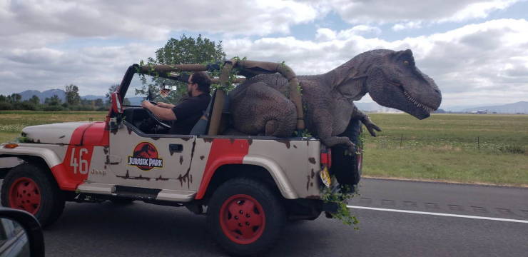 Daily Picdump