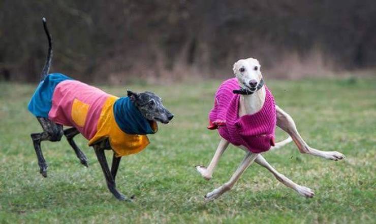 daily picdump 88 pics 29.html - 88 HD Photos | Premium Gallery 2019