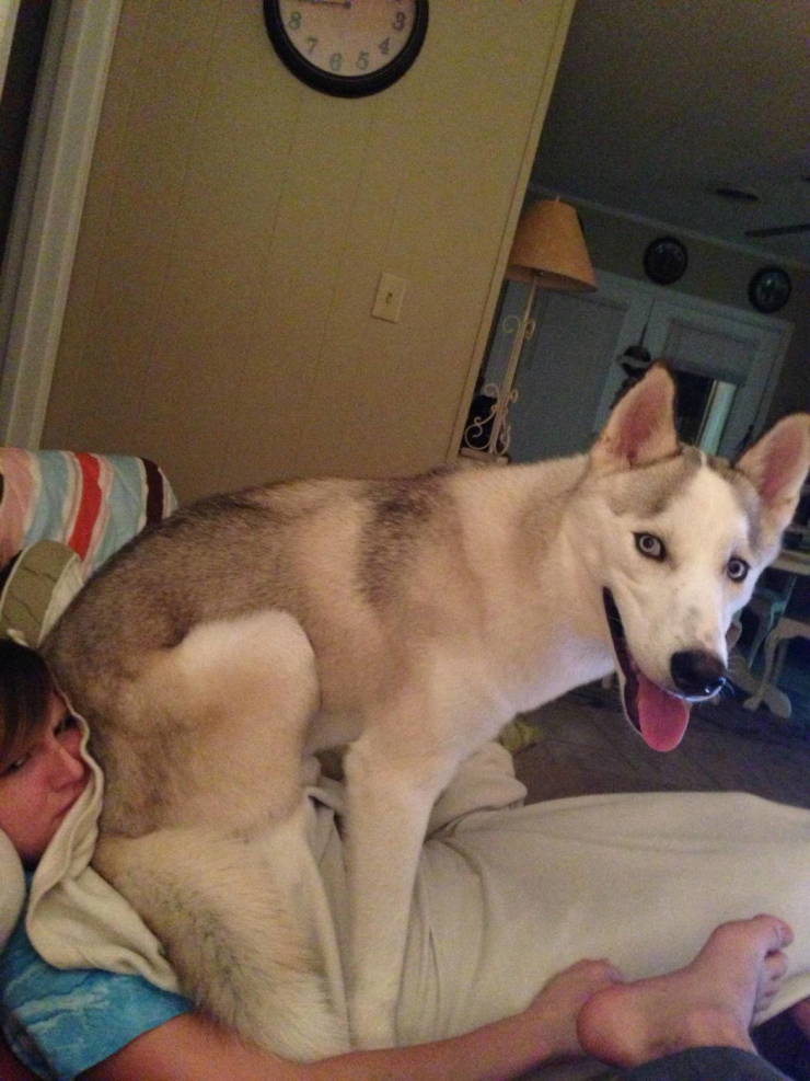 daily picdump 88 pics 29.html - 88 HD Photos | Premium Gallery 2019