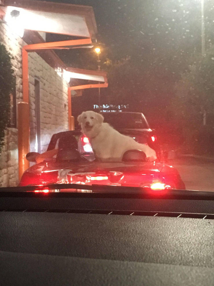 daily picdump 88 pics 29.html - 88 HD Photos | Premium Gallery 2019