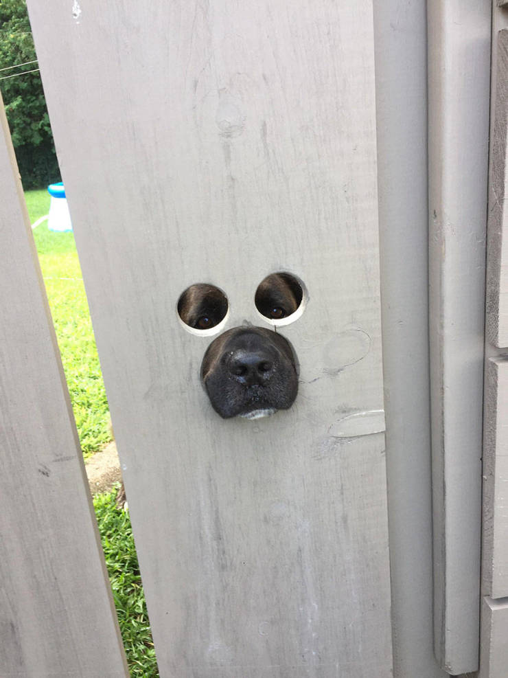 daily picdump 88 pics 29.html - 88 HD Photos | Premium Gallery 2019