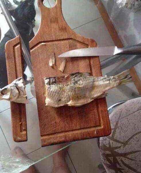 daily picdump 88 pics 29.html - 88 HD Photos | Premium Gallery 2019