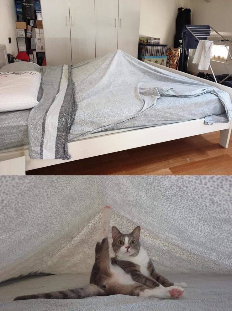 daily picdump 88 pics 29.html - 88 HD Photos | Premium Gallery 2019