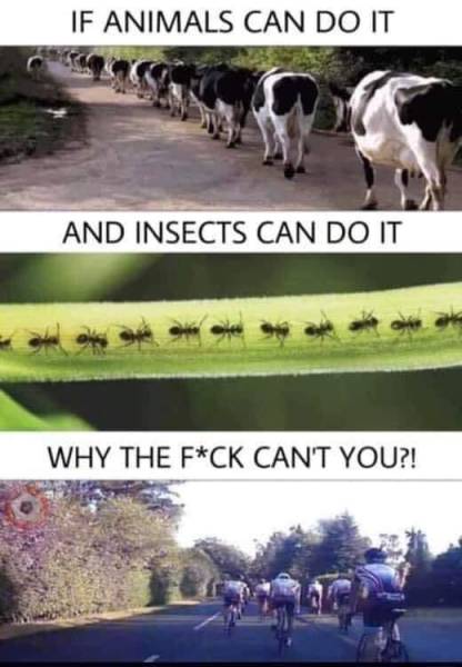 page,3,top 250 funny pics of the year 2019.html - 1 HD Photos | Premium Gallery 2019
