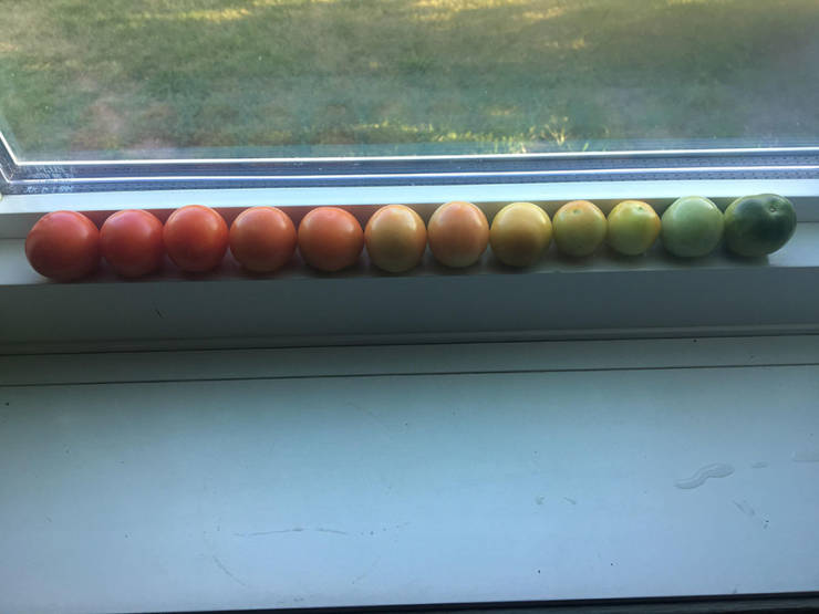 morning picdump 50 pics 2.html - 50 HD Photos | Premium Gallery 2019