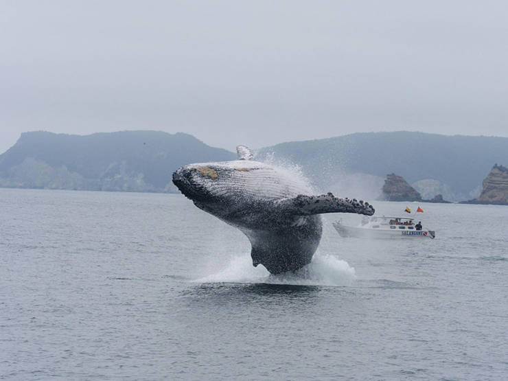 morning picdump 50 pics 2.html - 50 HD Photos | Premium Gallery 2019