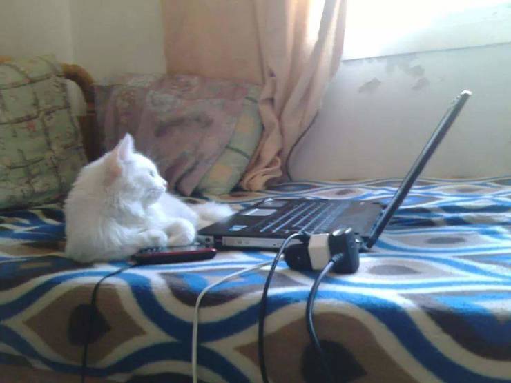 morning picdump 50 pics 2.html - 50 HD Photos | Premium Gallery 2019