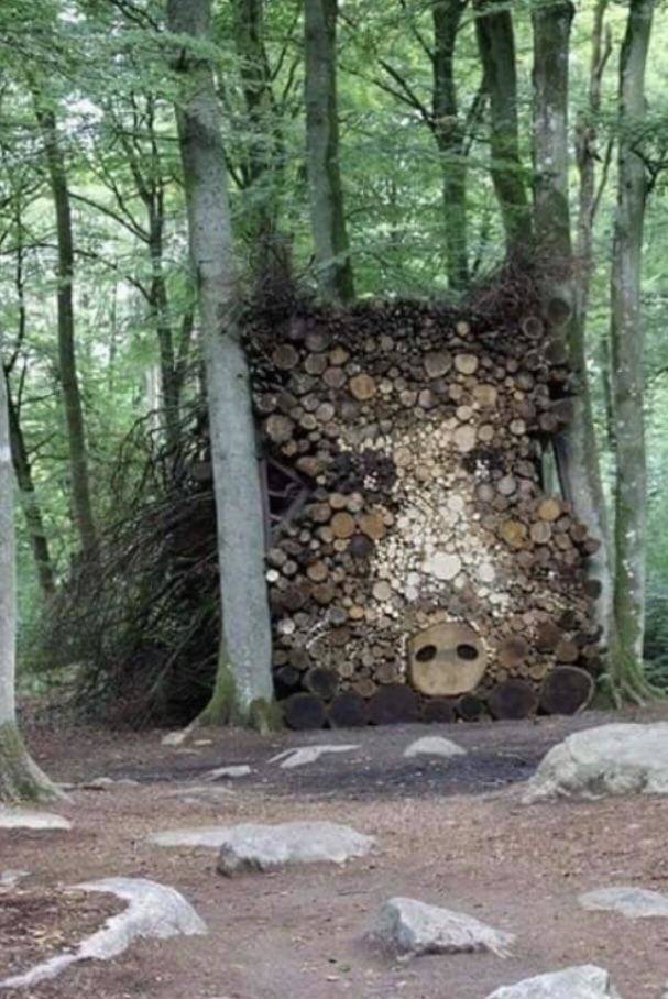 morning picdump 50 pics 2.html - 50 HD Photos | Premium Gallery 2019