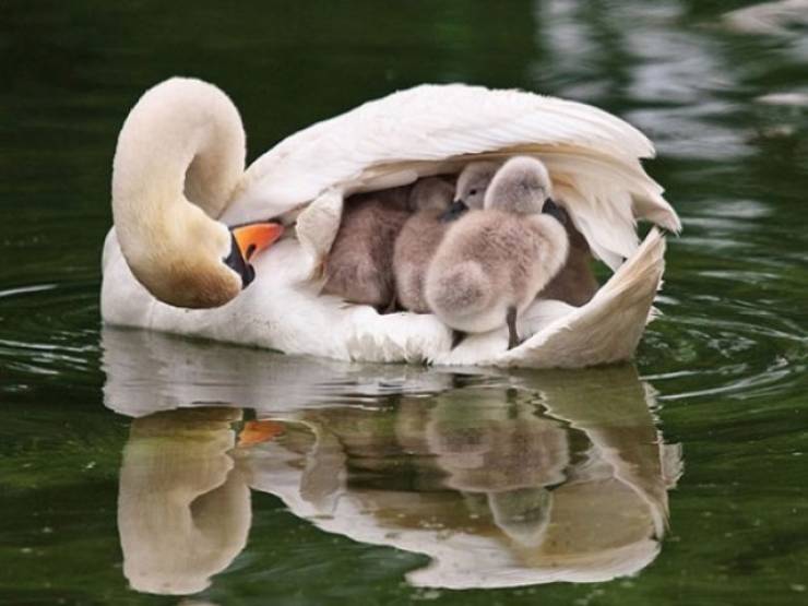 page,3,top 750 daily pics of the year 2019.html - 1 HD Photos | Premium Gallery 2019