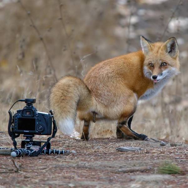 page,2,top 750 daily pics of the year 2019.html - 1 HD Photos | Premium Gallery 2019
