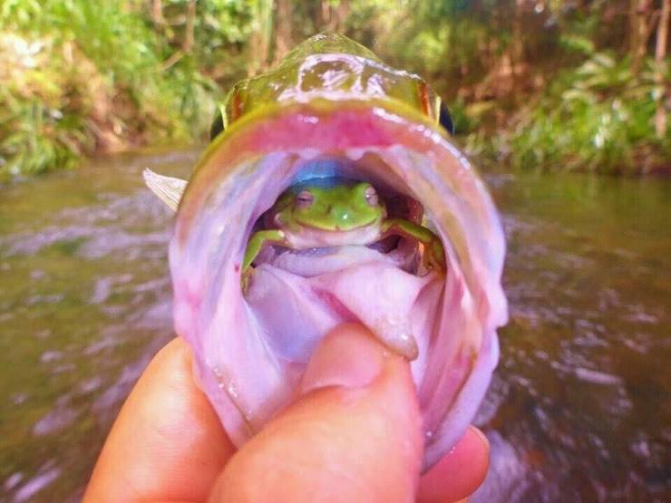 morning picdump 54 pics 10.html - 54 HD Photos | Premium Gallery 2019