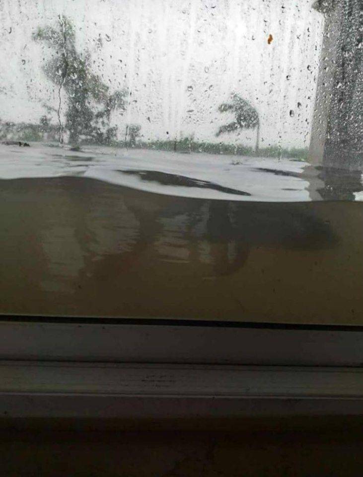 morning picdump 54 pics 10.html - 54 HD Photos | Premium Gallery 2019
