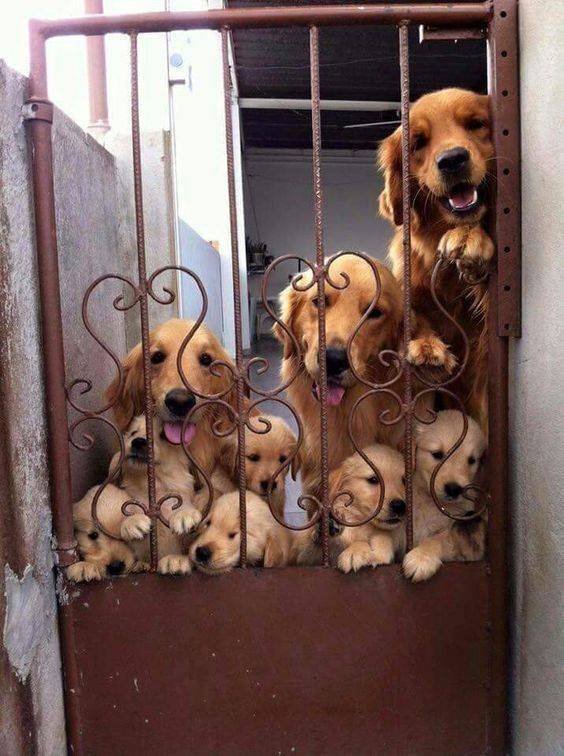 morning picdump 54 pics 10.html - 54 HD Photos | Premium Gallery 2019