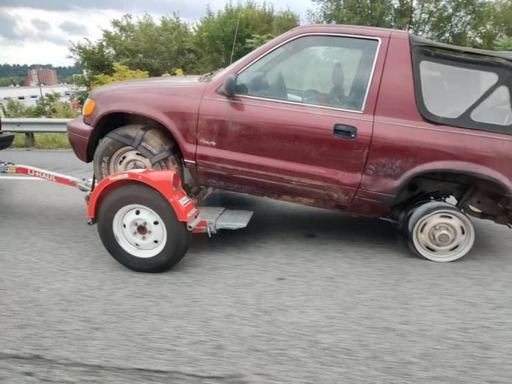 Daily Picdump
