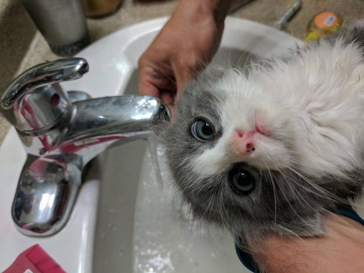 Daily Picdump