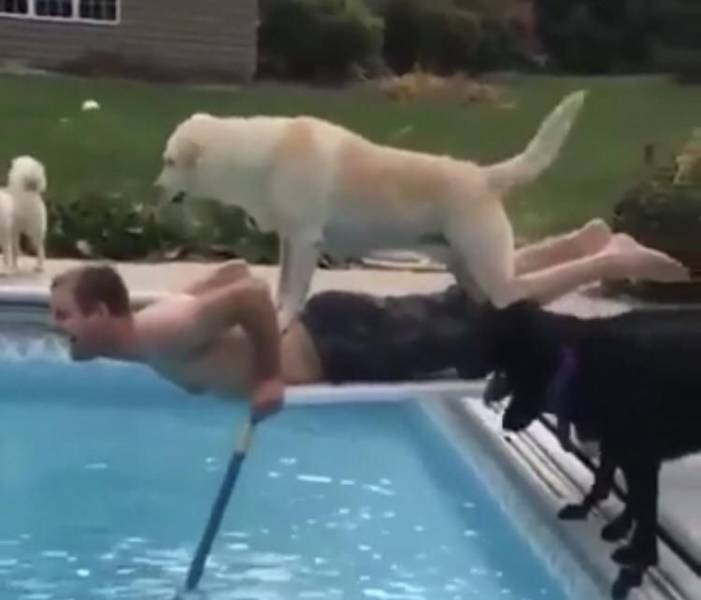 daily picdump 93 pics 19.html - 93 HD Photos | Premium Gallery 2019