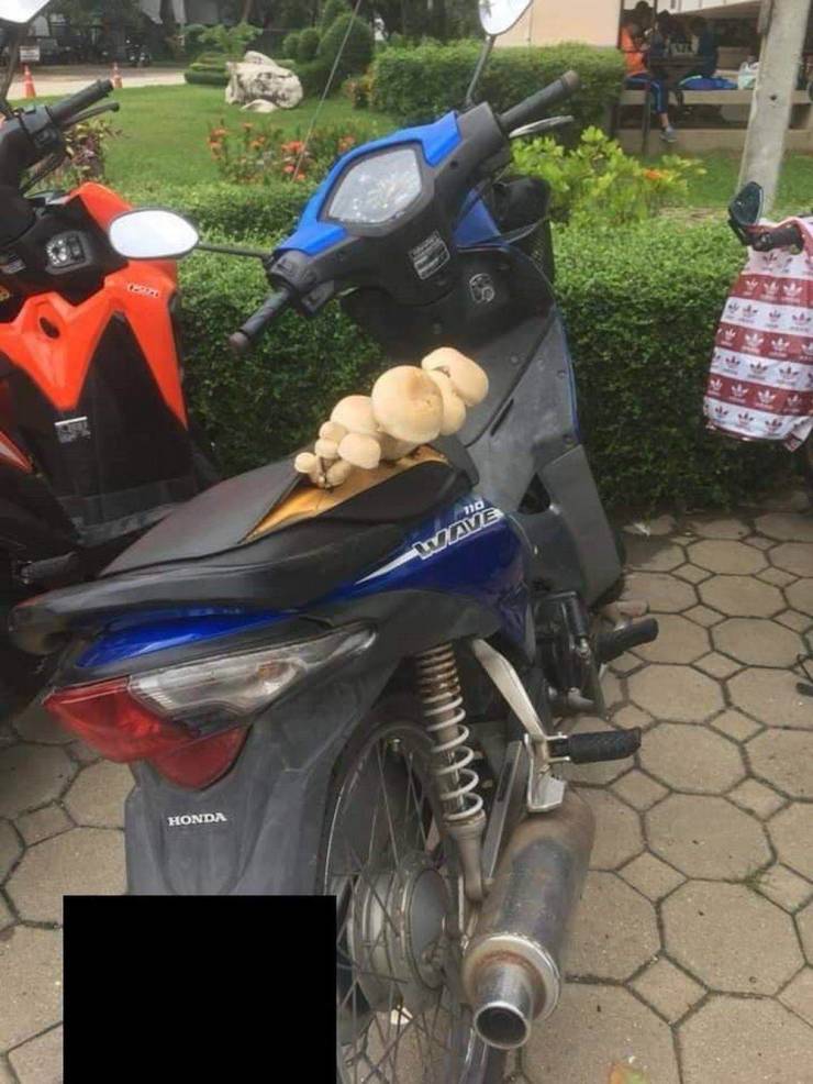 Daily Picdump