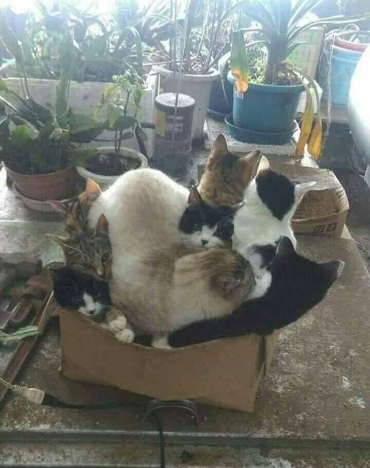 daily picdump 93 pics 19.html - 93 HD Photos | Premium Gallery 2019