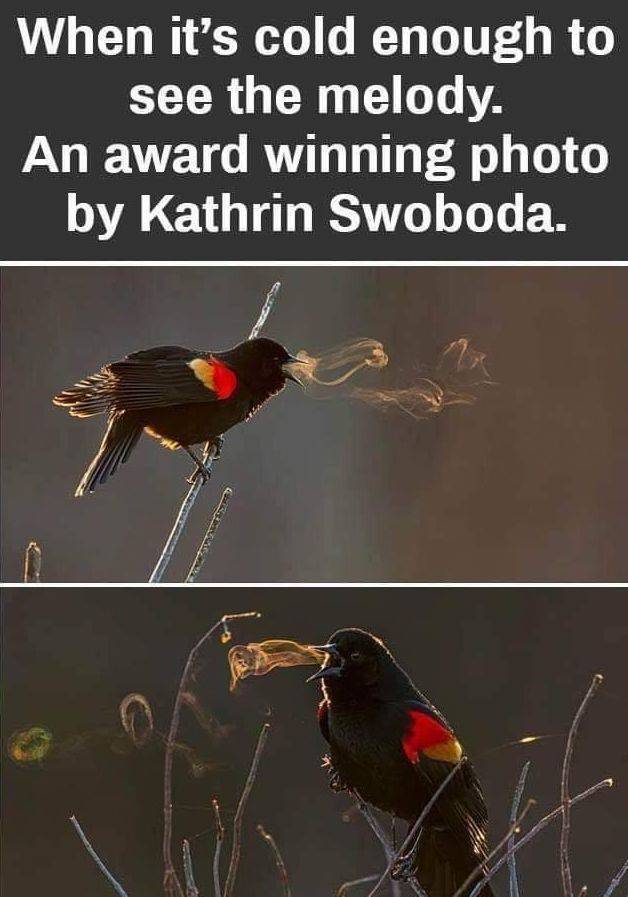 daily picdump 93 pics 19.html - 93 HD Photos | Premium Gallery 2019