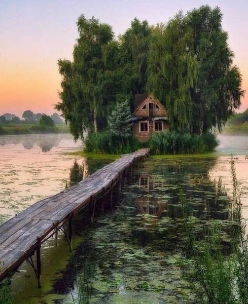 page,3,top 750 daily pics of the year 2019.html - 1 HD Photos | Premium Gallery 2019