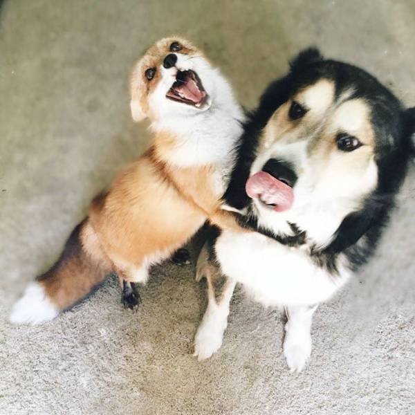 Daily Picdump