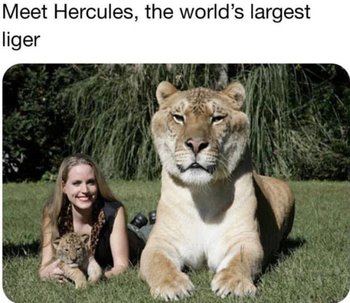 daily picdump 97 pics 42.html - 97 HD Photos | Premium Gallery 2019