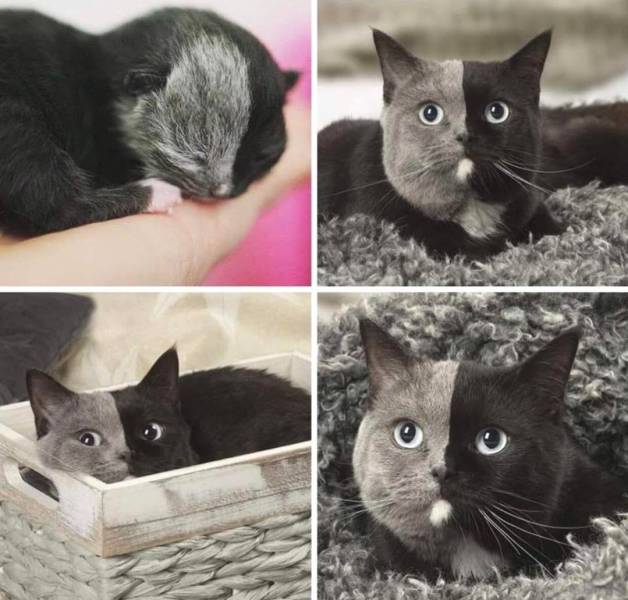 daily picdump 97 pics 42.html - 97 HD Photos | Premium Gallery 2019