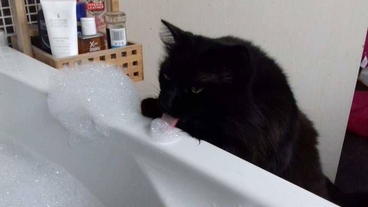 daily picdump 97 pics 42.html - 97 HD Photos | Premium Gallery 2019