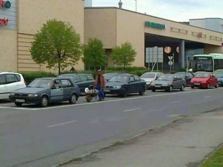 daily picdump 97 pics 42.html - 97 HD Photos | Premium Gallery 2019