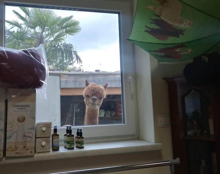 daily picdump 97 pics 42.html - 97 HD Photos | Premium Gallery 2019