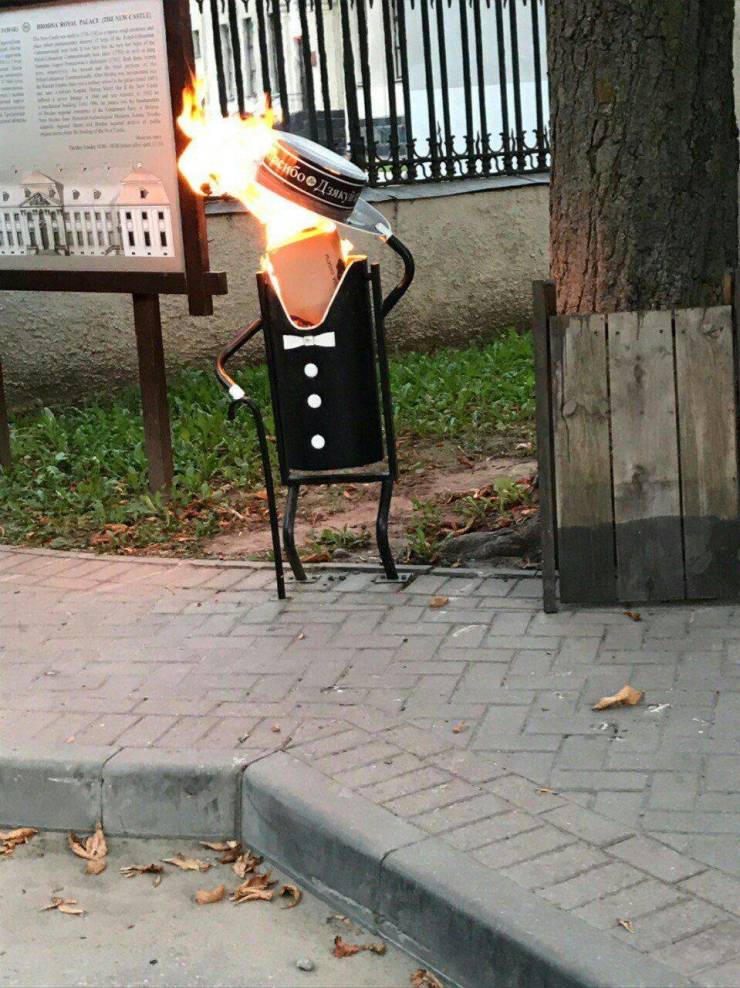 daily picdump 97 pics 42.html - 97 HD Photos | Premium Gallery 2019