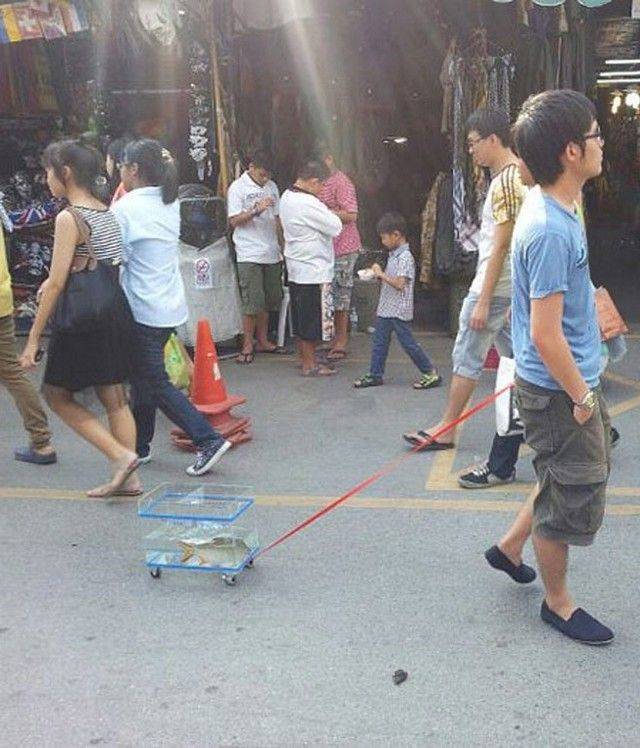 daily picdump 97 pics 42.html - 97 HD Photos | Premium Gallery 2019