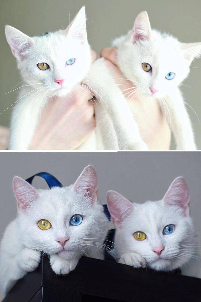 daily picdump 97 pics 42.html - 97 HD Photos | Premium Gallery 2019