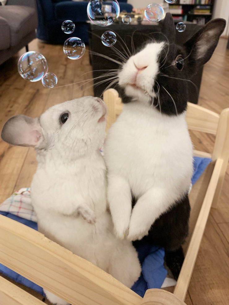 daily picdump 97 pics 42.html - 97 HD Photos | Premium Gallery 2019