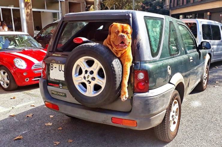 daily picdump 99 pics 39.html - 99 HD Photos | Premium Gallery 2019