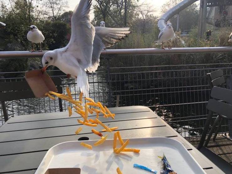 daily picdump 99 pics 39.html - 99 HD Photos | Premium Gallery 2019
